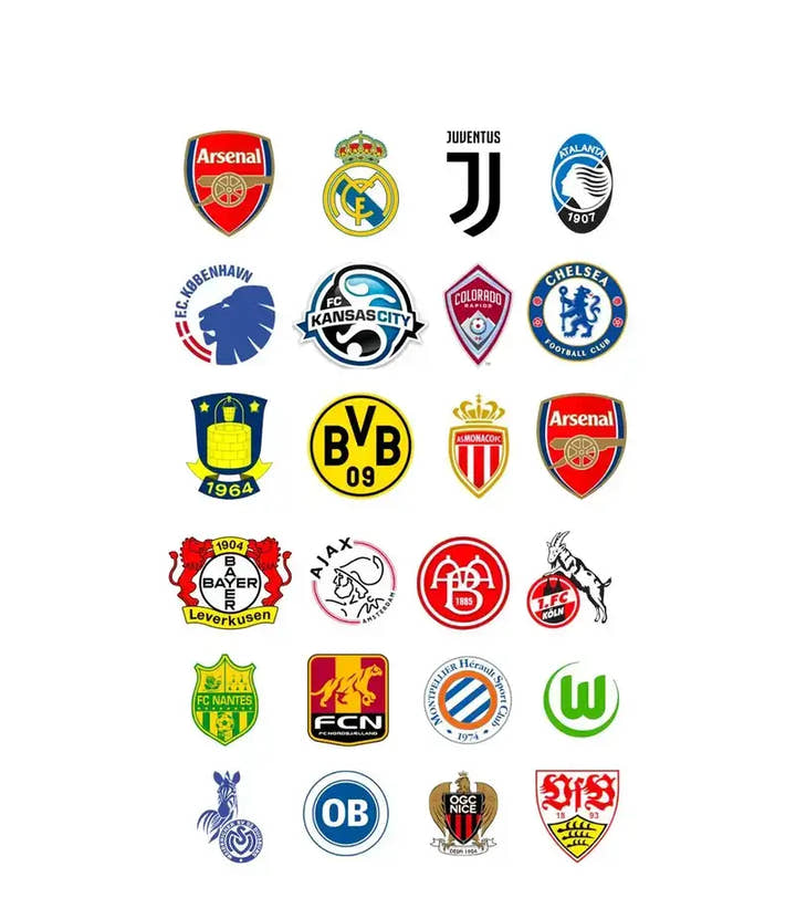Club logos using m-station soccer rebounders by munin sports